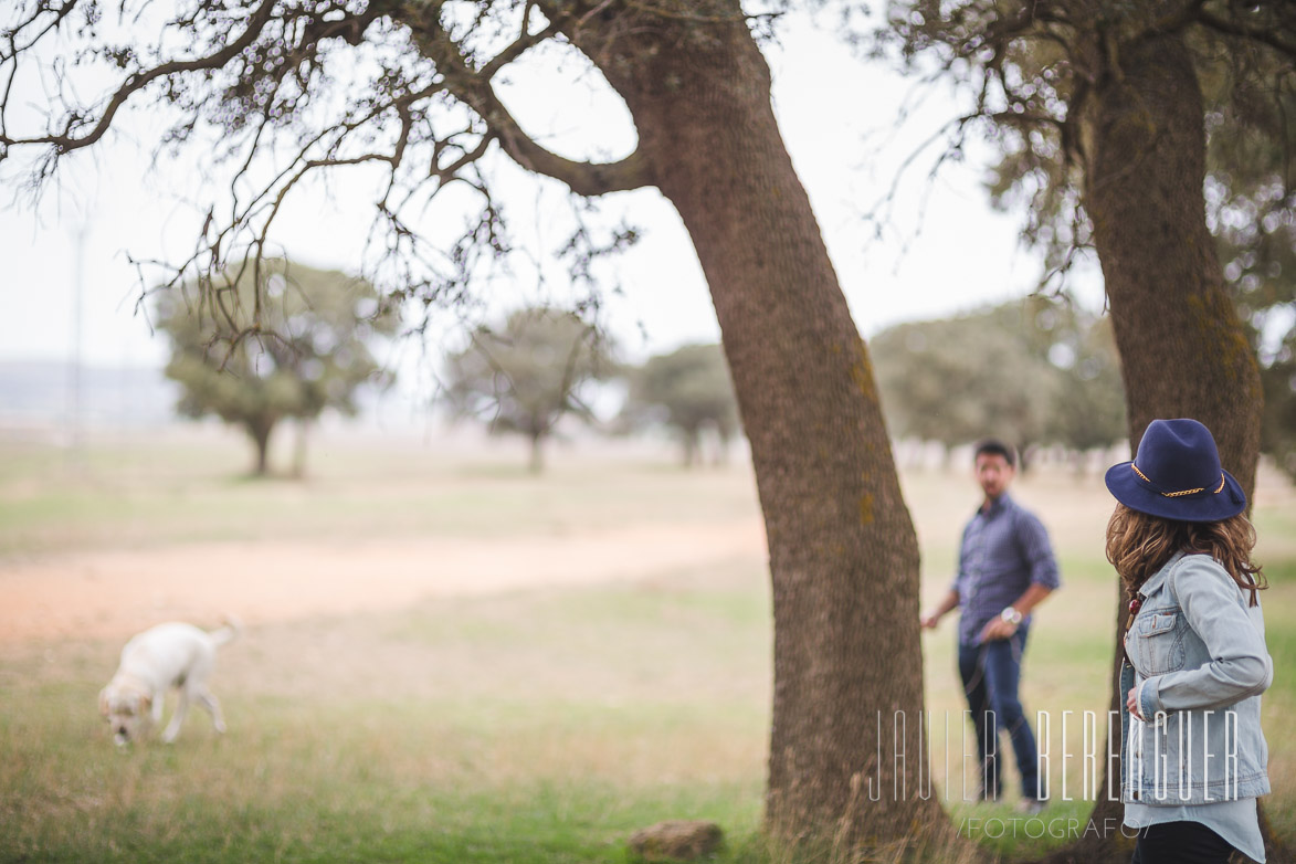 Fotos de Fotografos de Bodas Elche -