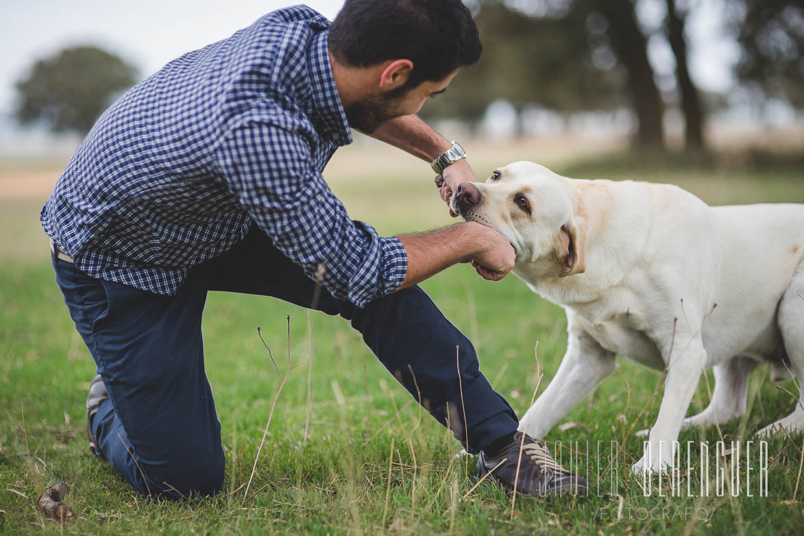 Fotos de Fotografos de Mascotas - 23