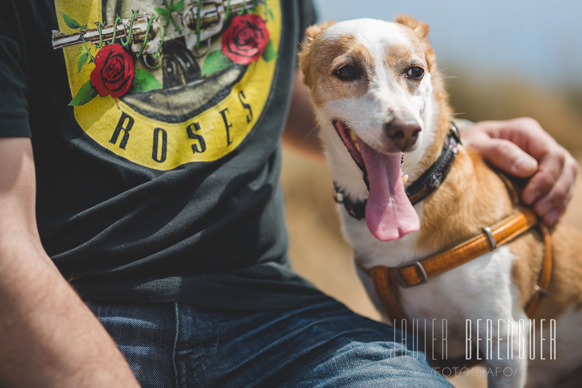 Fotos de Mascotas Reportaje Fotos PreBoda en Santa Pola