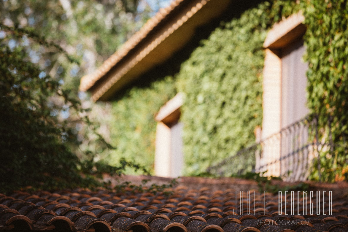 Fotos de Boda en Jardines de Monteagudo 