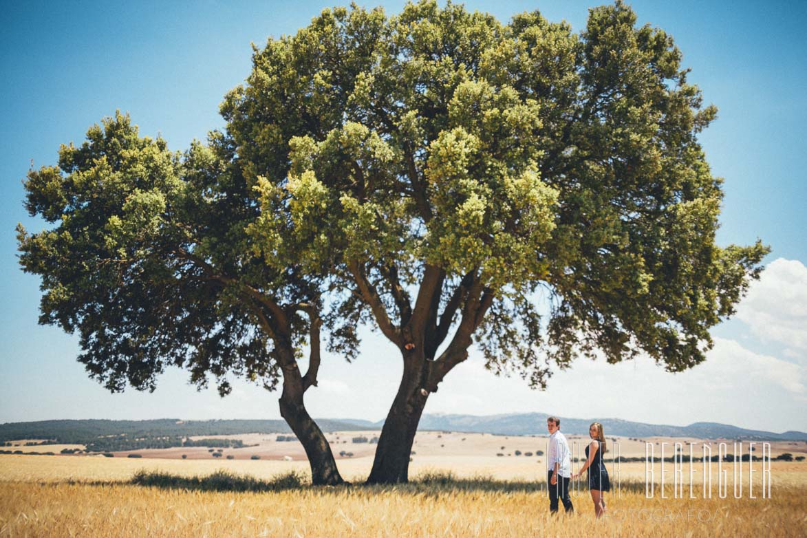 Fotógrafos Pre Boda Almancile Granada-10083