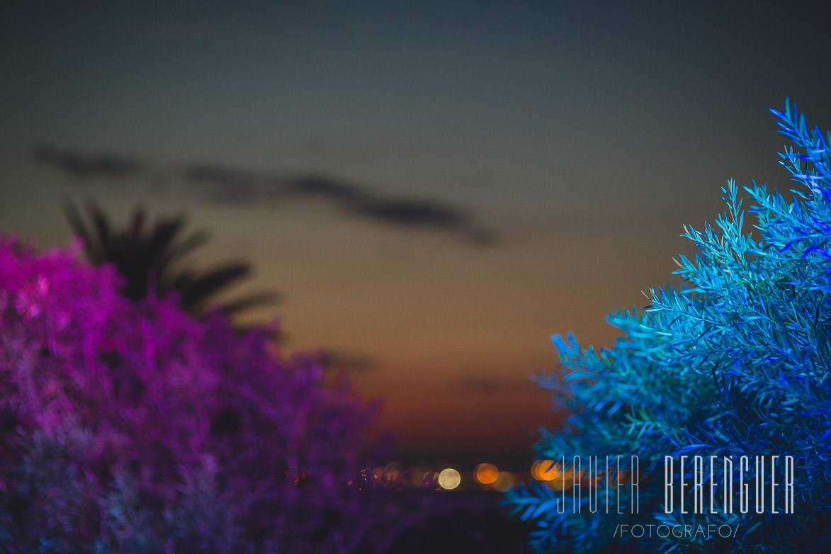 Fotógrafos de Boda en La Manga del Mar Menor-12573