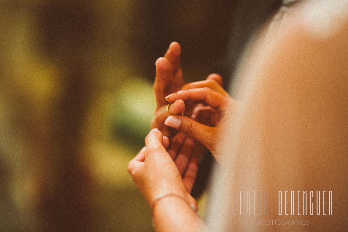 Fotógrafos Boda en Elche Dátil de Oro-11302