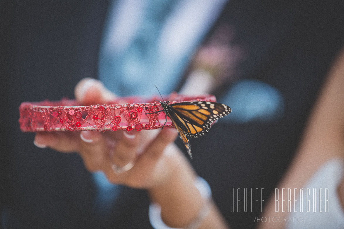 Fotógrafo Boda Masía de Chencho-11277