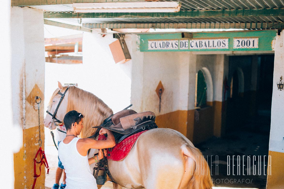 Fotógrafos Pre Boda Caballos Cartagena