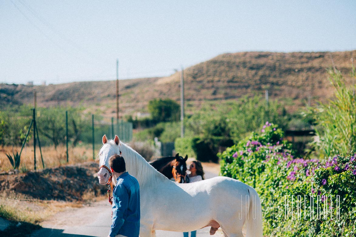 Fotógrafos Prede Boda Caballos Cartagena