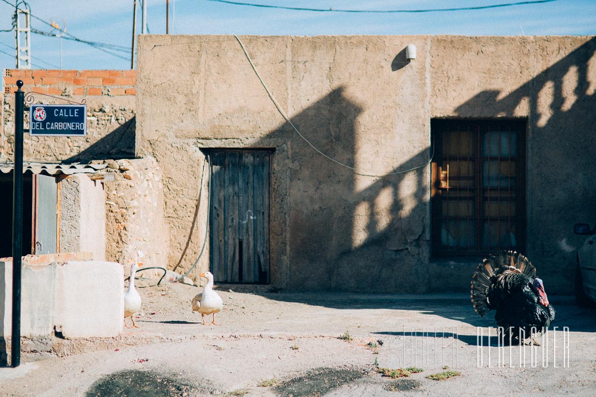 Fotógrafos Pre de Boda Caballos Cartagena