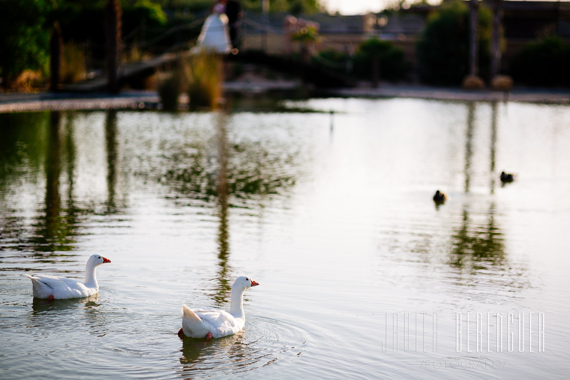 Fotos Boda Finca El Lago Elche Alicante