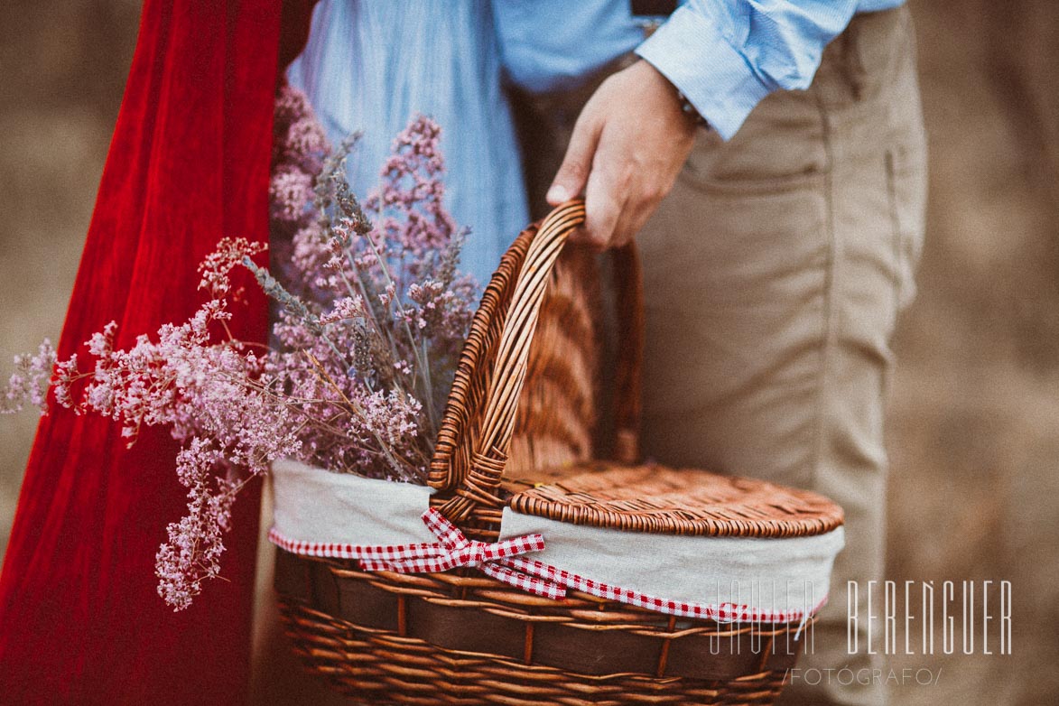 Ideas para Sesión Pre Boda Campo 