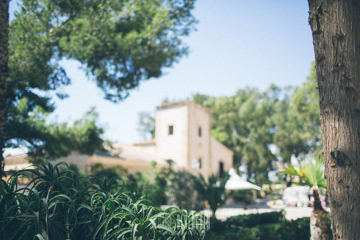 Fotografo Boda Santa Maria Finca Torre Bosch