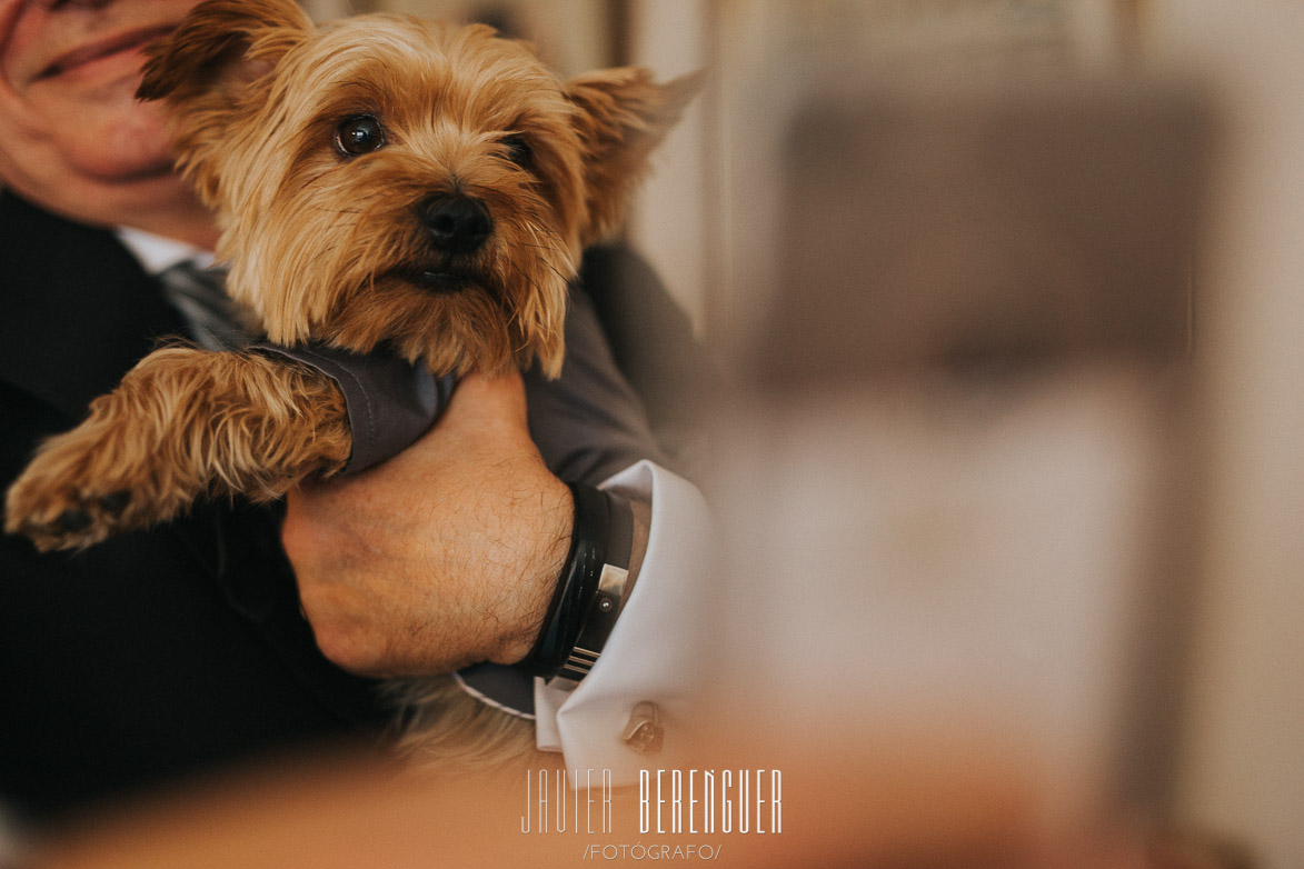 Fotos de Fotografos de Boda en Alicante 