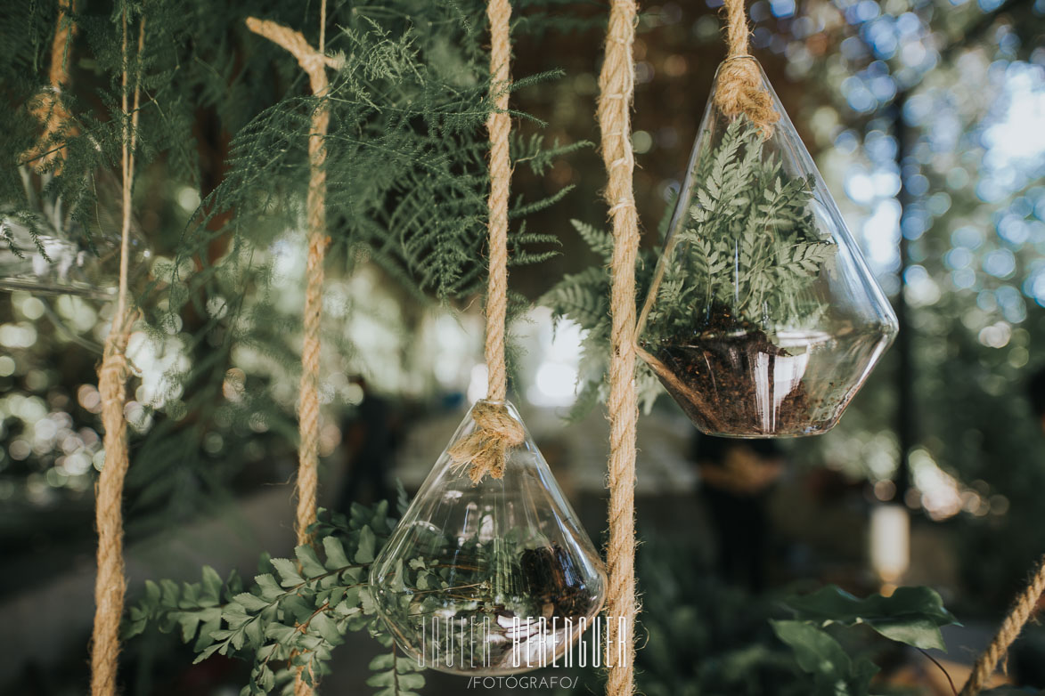 Decoración con cristal, cuerdas y plantas