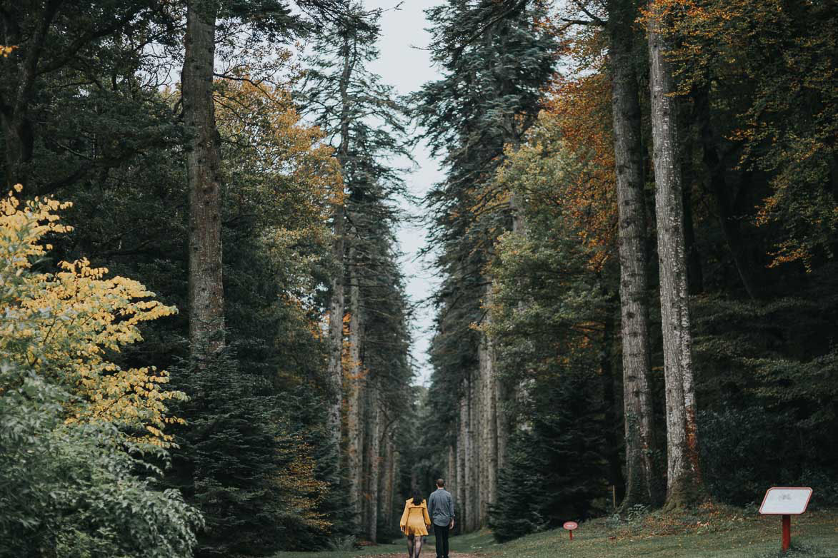 Woodstock Park Wedding Photographer Ireland Wedding