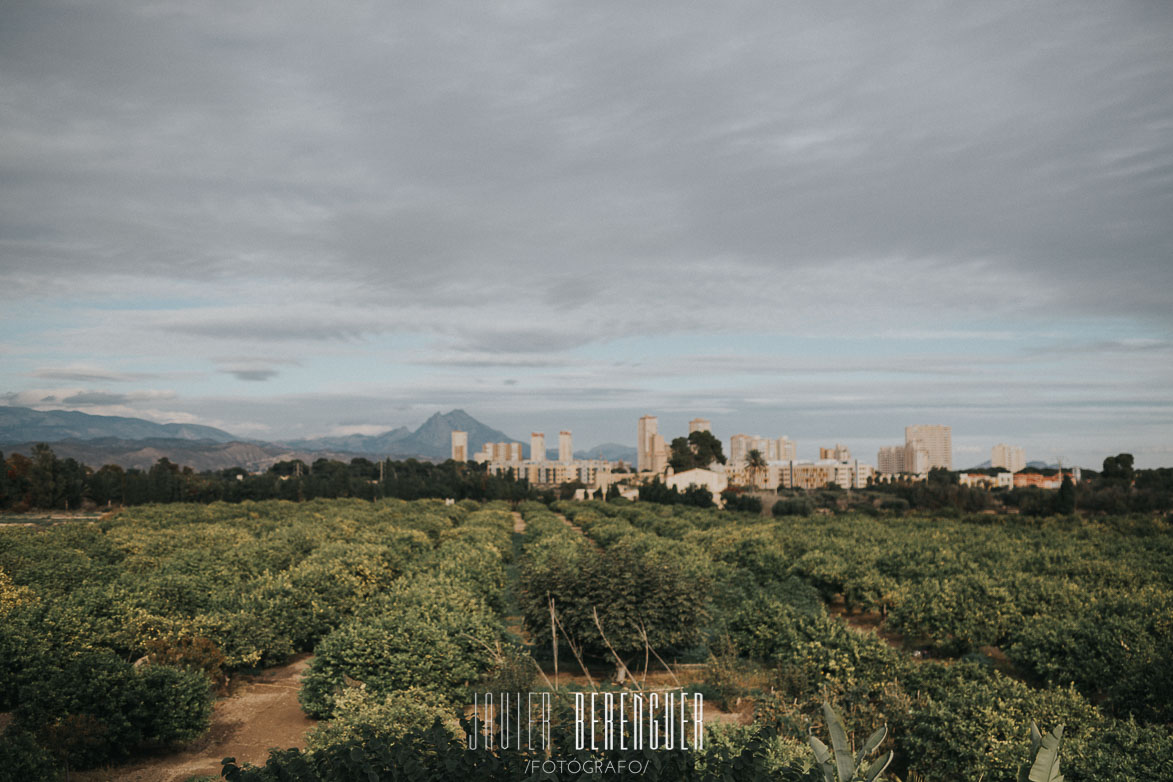 Fotos de Fotografo de Bodas en Finca La Torreta Alicante