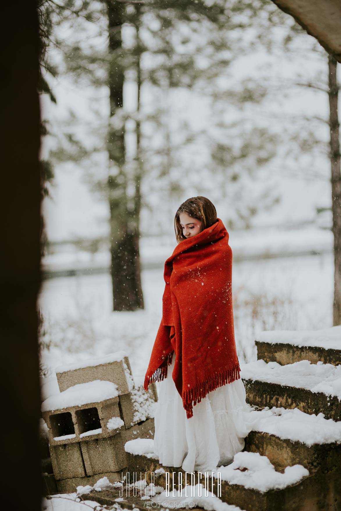 Book Fotos Comuniones en la Nieve