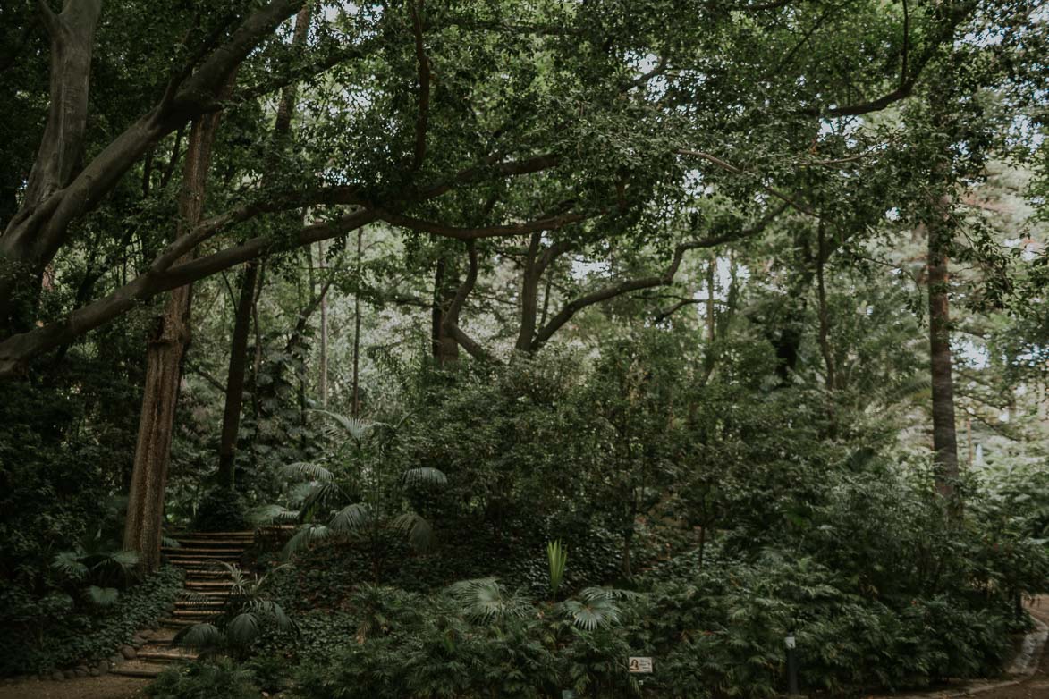 Fotos de Bodas en Jardín Botánico La Concepción Malaga