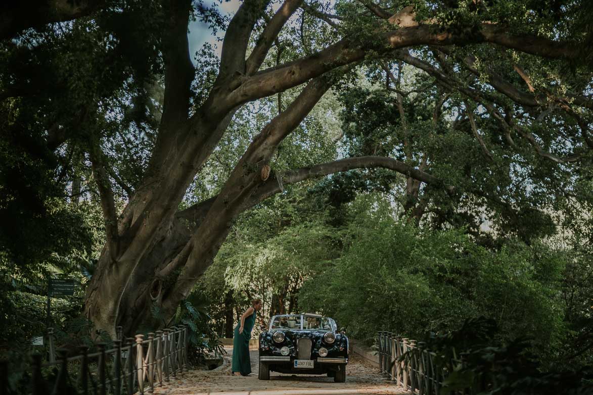 Fotos de Bodas en Jardín Botánico La Concepción Malaga