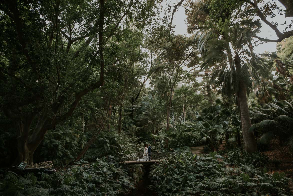 Fotos de Bodas en Jardín Botánico La Concepción Malaga