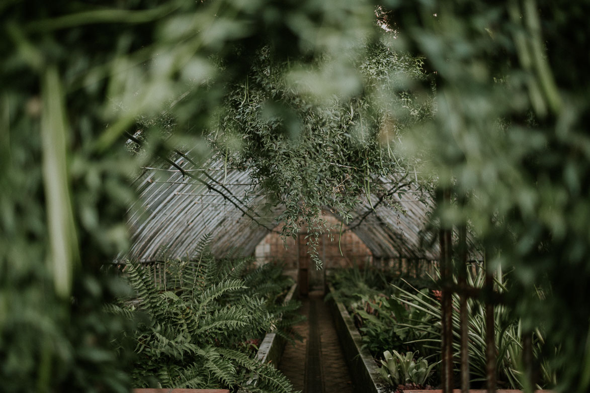 Fotos de Bodas en Jardín Botánico La Concepción Malaga