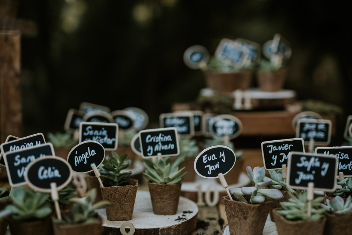 Seating Plan con Cactus y Catelitos de Pizarra