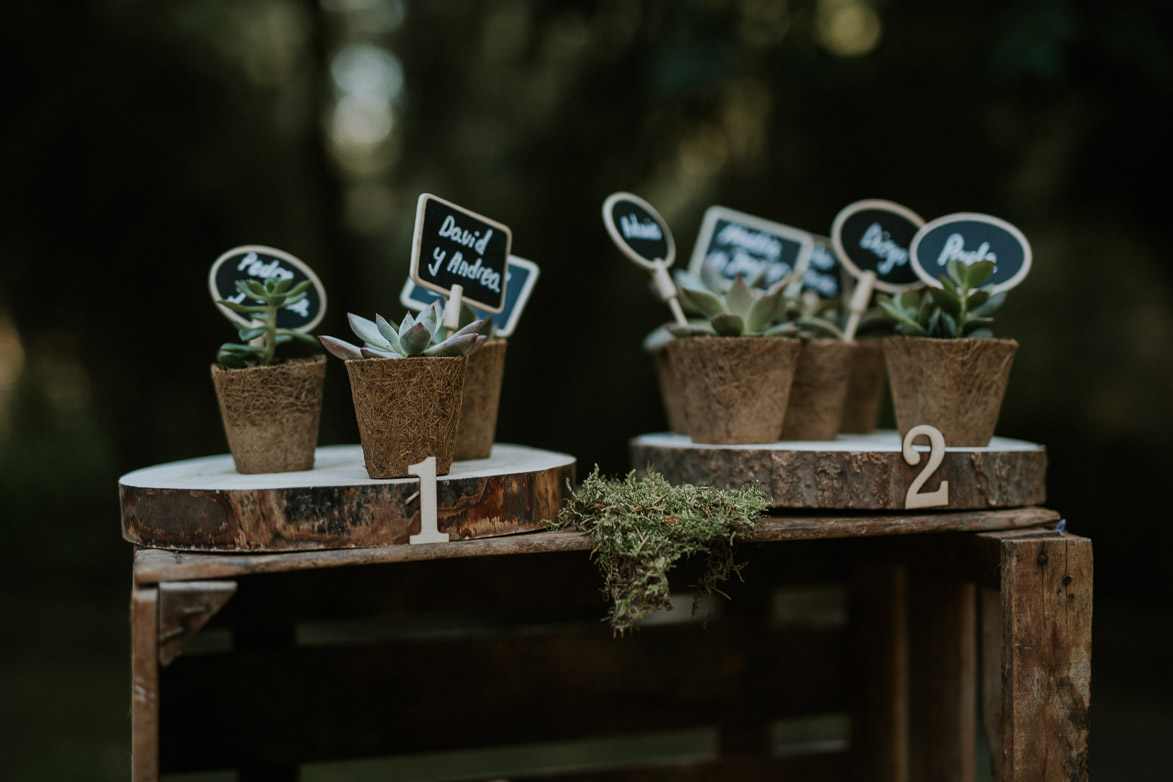 Seating Plan con Cactus y Catelitos de Pizarra