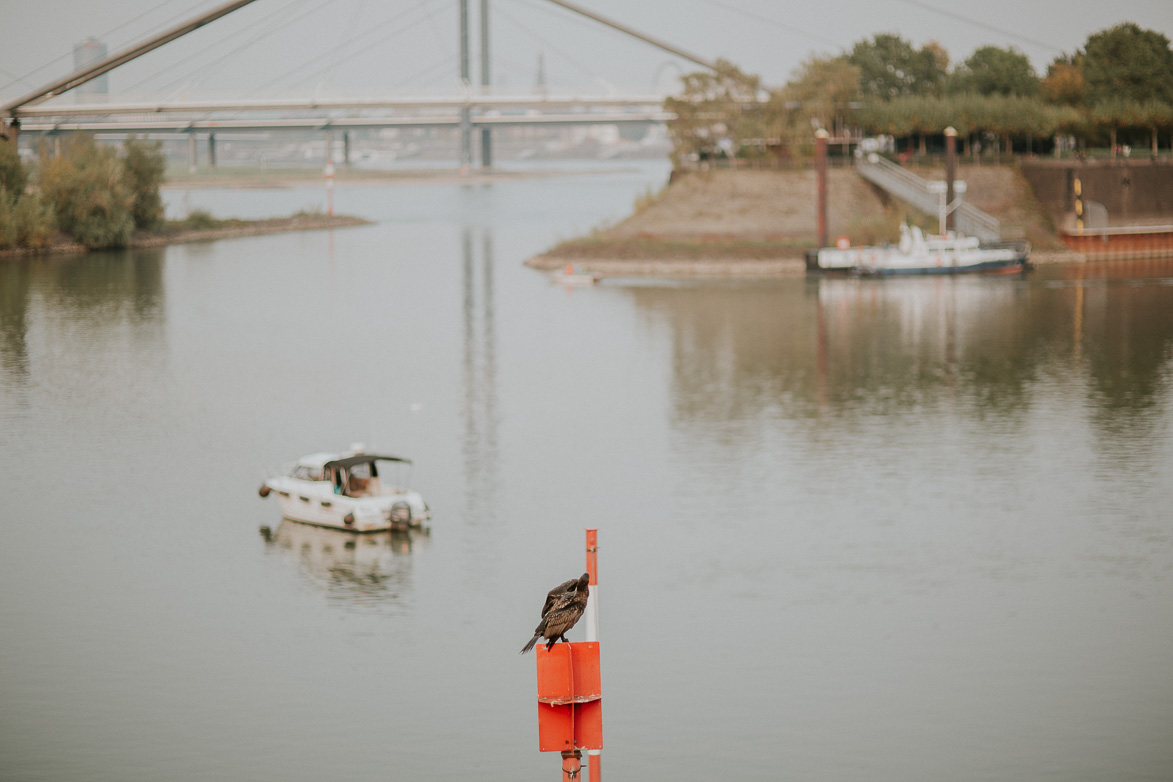 Hochzeitsvideo mit Bilder Dusseldorf Deutschland