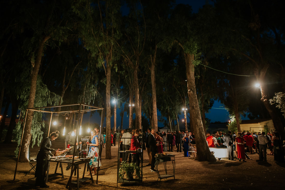 Fotos Video Fotografos de Bodas Civiles en Fincas Alicante Luces Ledilux