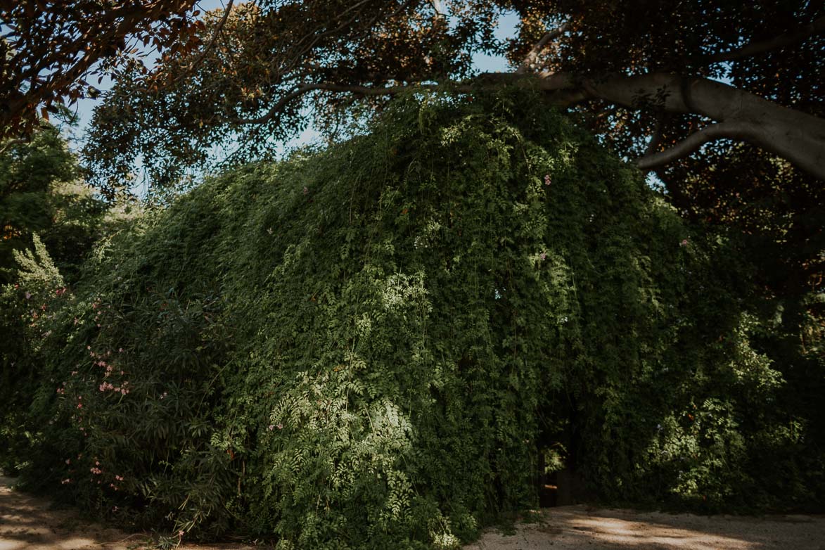 Fotografos de Bodas Jardines Abril San Juan Alicante