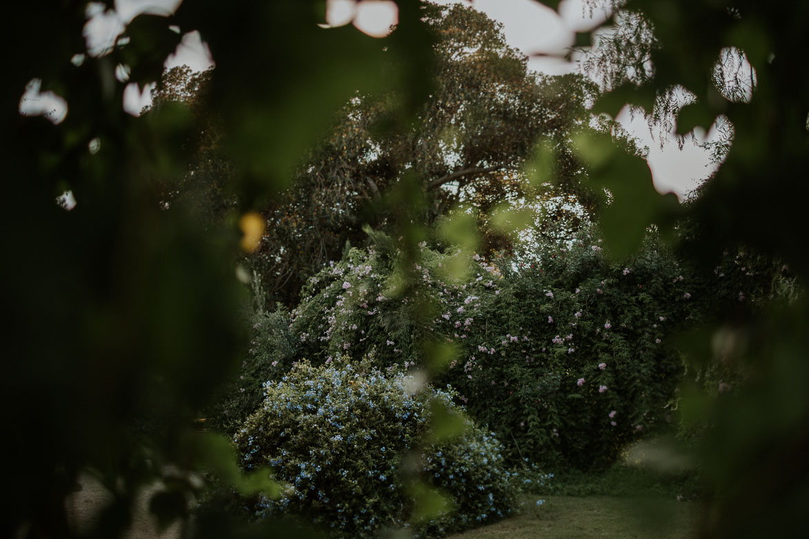 Fotografos de Bodas Jardines Abril San Juan Alicante