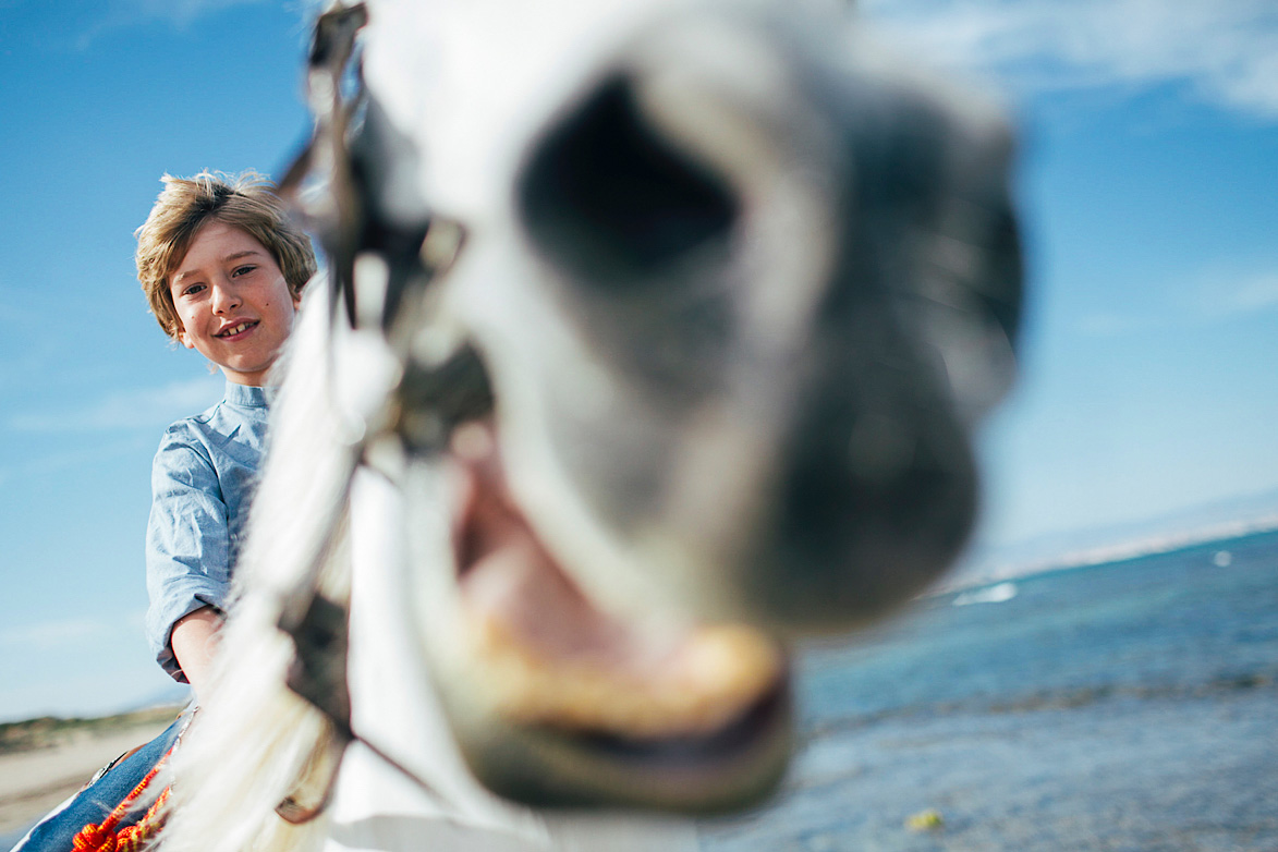 Fotografos de Comuniones Caballos Elche Alicante Murcia