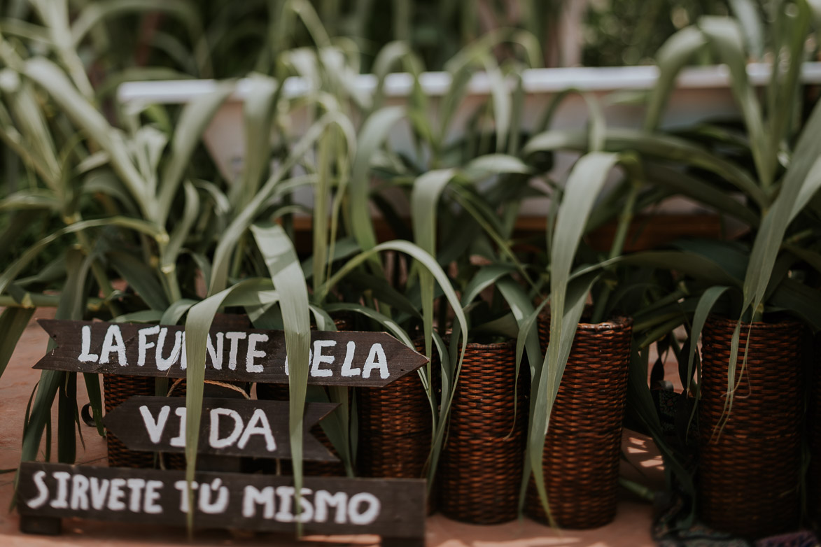 Fuente de La Vida