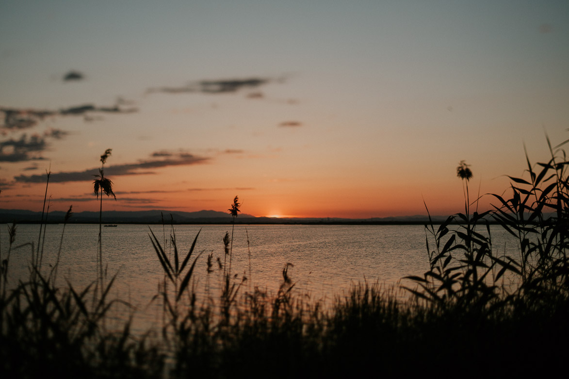 Fotografos de Bodas la Albufera Valencia El Palmar