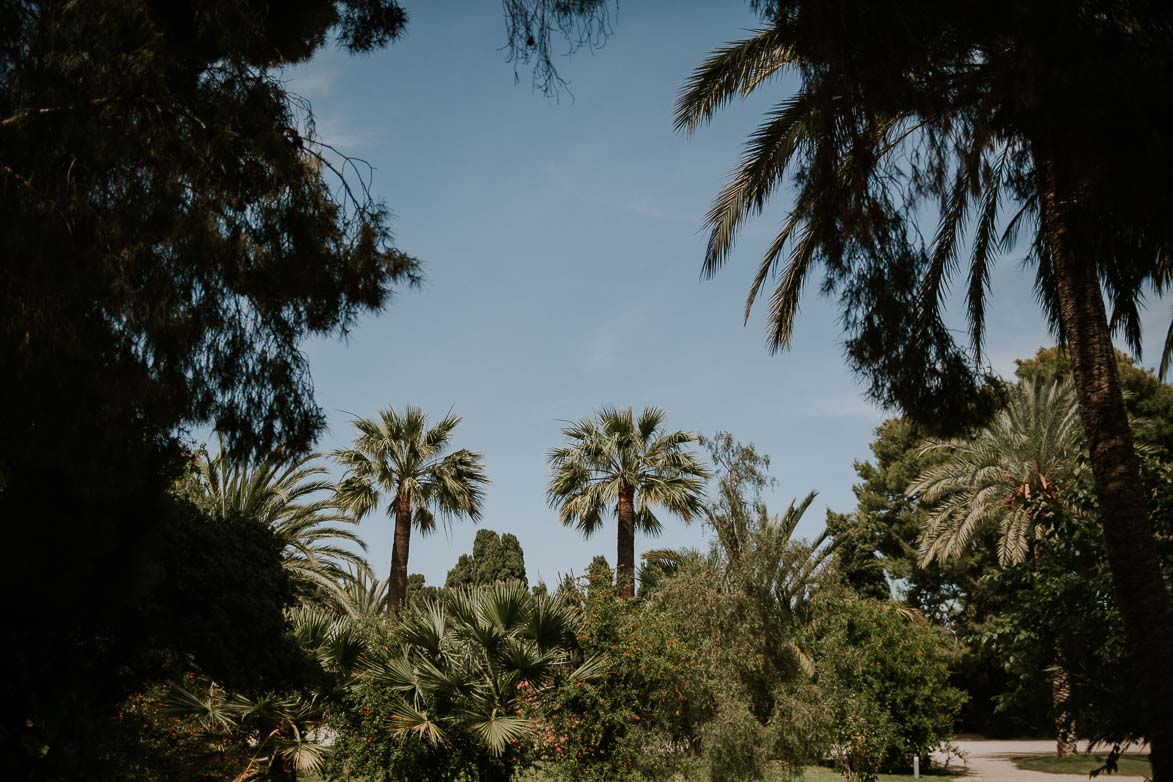 Fotografos de Bodas Jardines de Abril Alicante Wedding