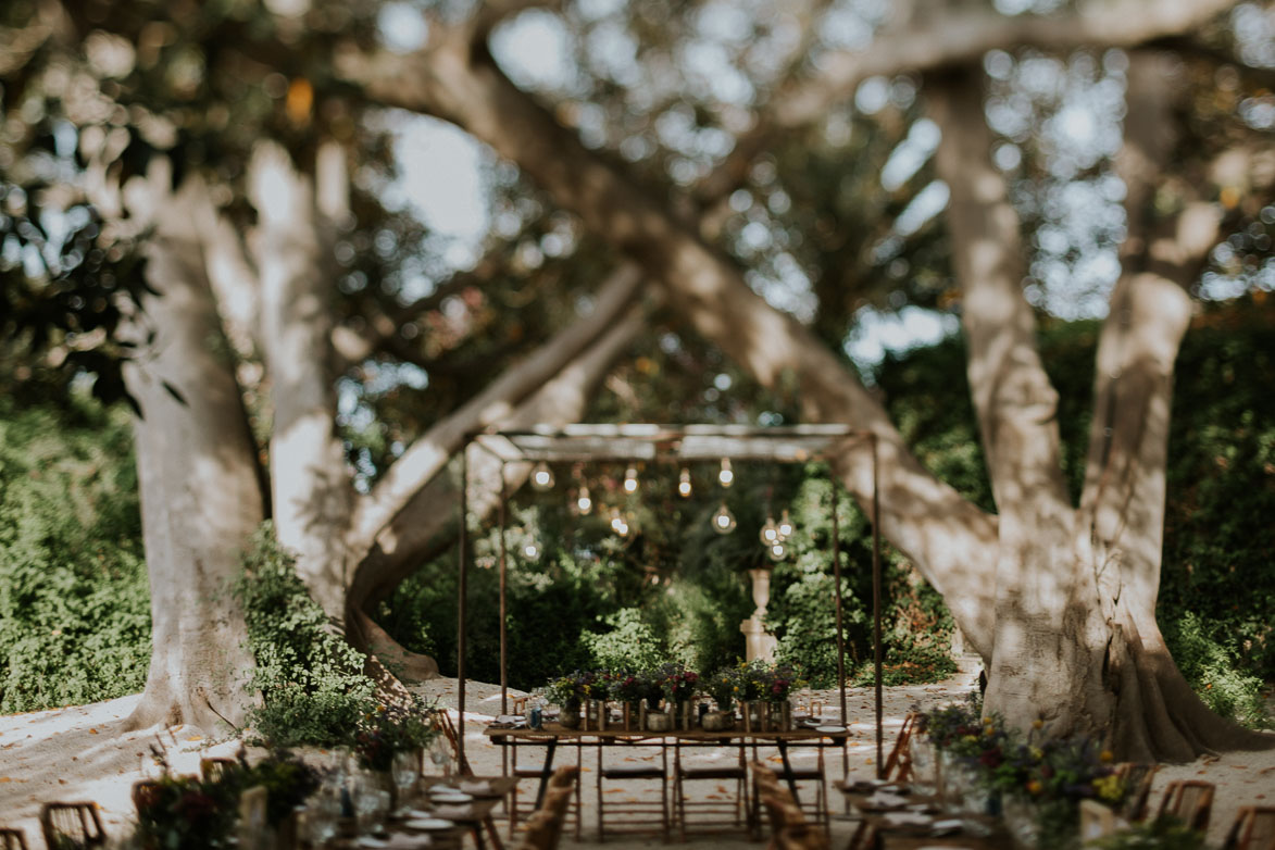 Fotografos de Bodas Jardines de Abril Alicante Wedding