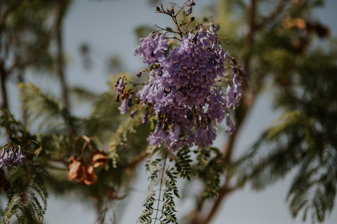 Ramos de Novia El Juli Flores