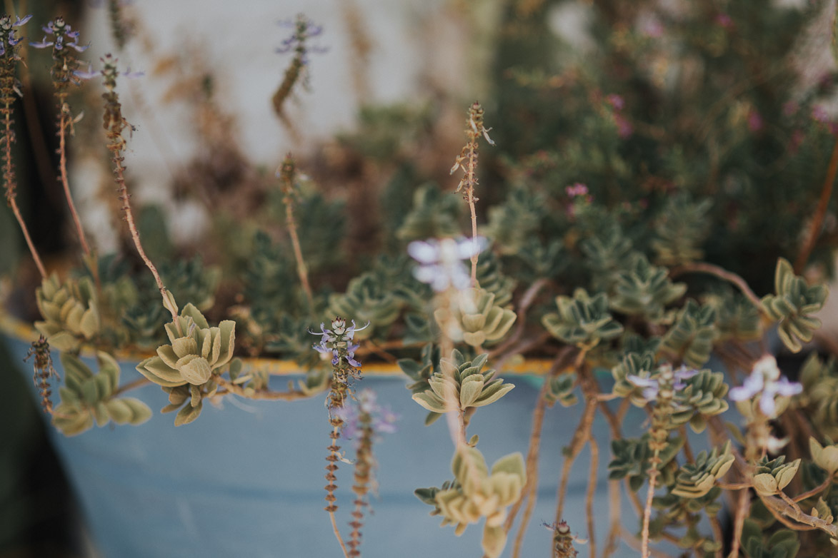 Wedding Photographer Malaga Bodas Sierra Las Nieves