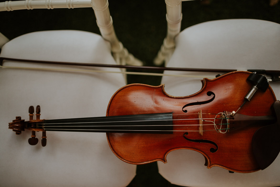 Sergio violinista para Bodas