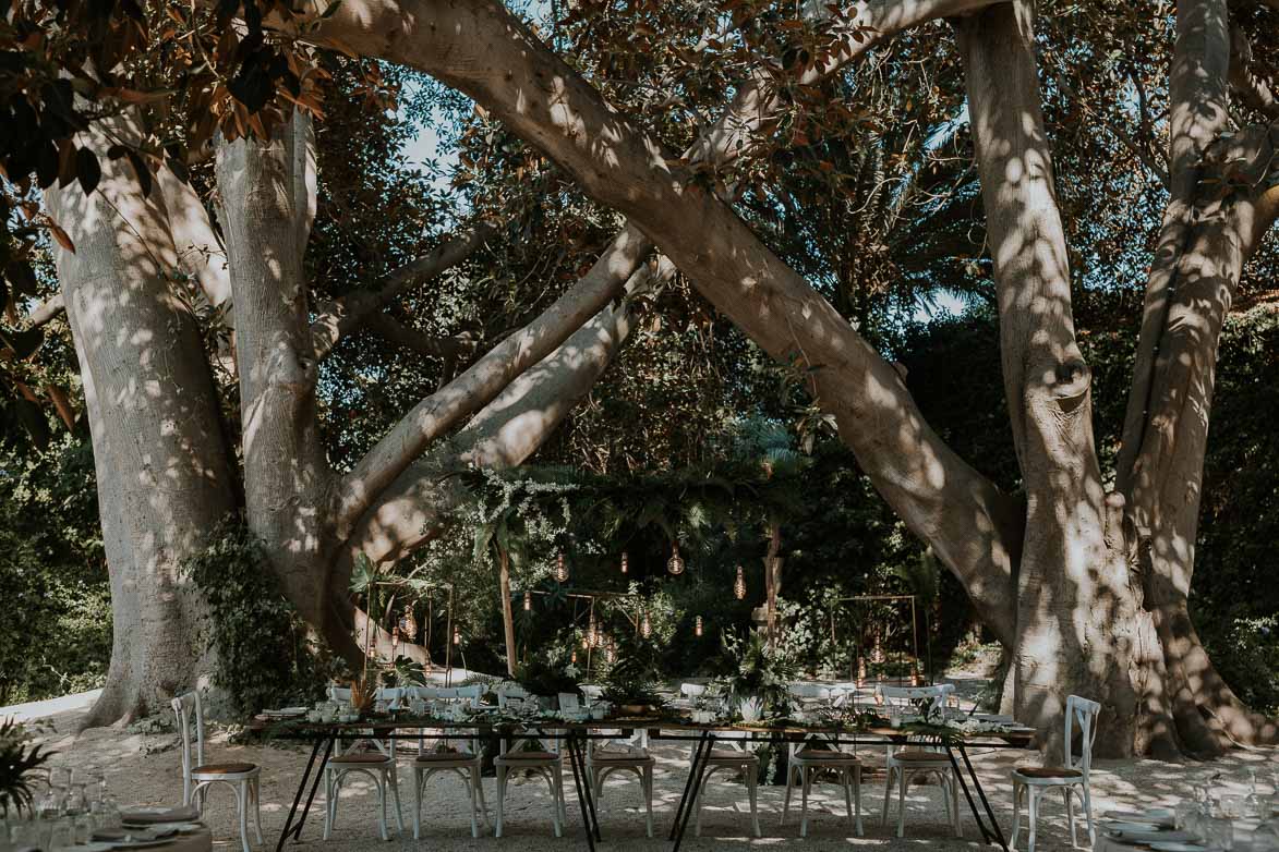 Photographes Mariages jardines de Abril Alicante Wedding