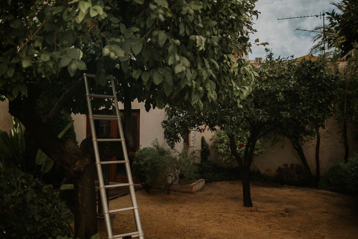 Fotógrafos de Boda Crevillente