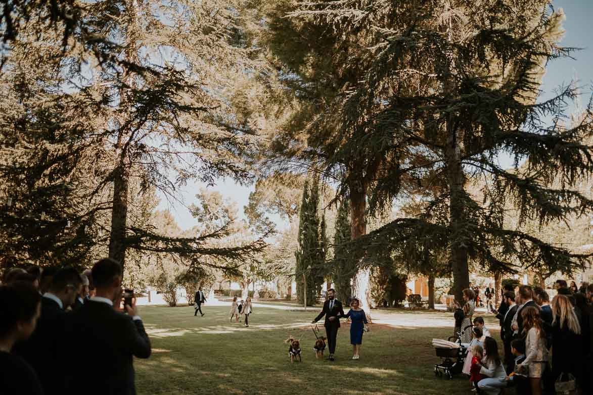 Fotógrafos Bodas Finca La Clariana Ontinyent Valencia