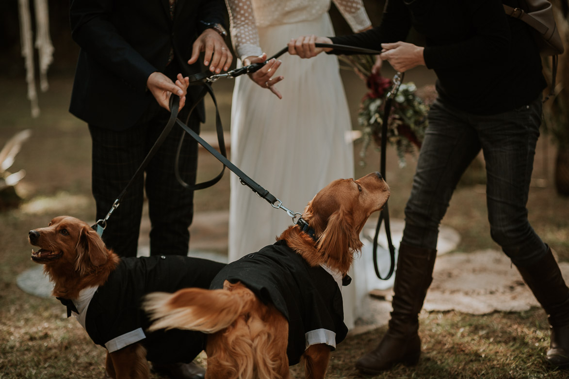 Fotógrafos Bodas Finca La Clariana Ontinyent Valencia