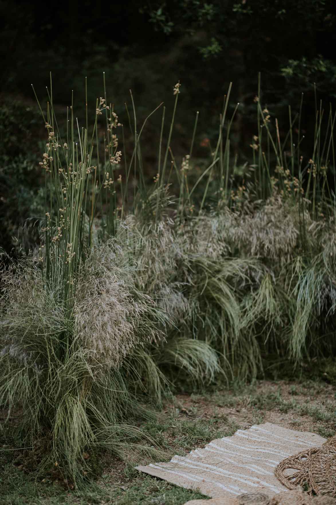 Fotógrafos de Boda Civil CaLiBorra Mataró Barcelona Catalunya