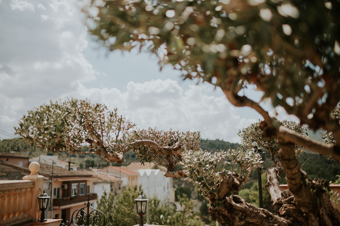 Fotos Videos de Bodas Finca Jardines de Abril Alicante