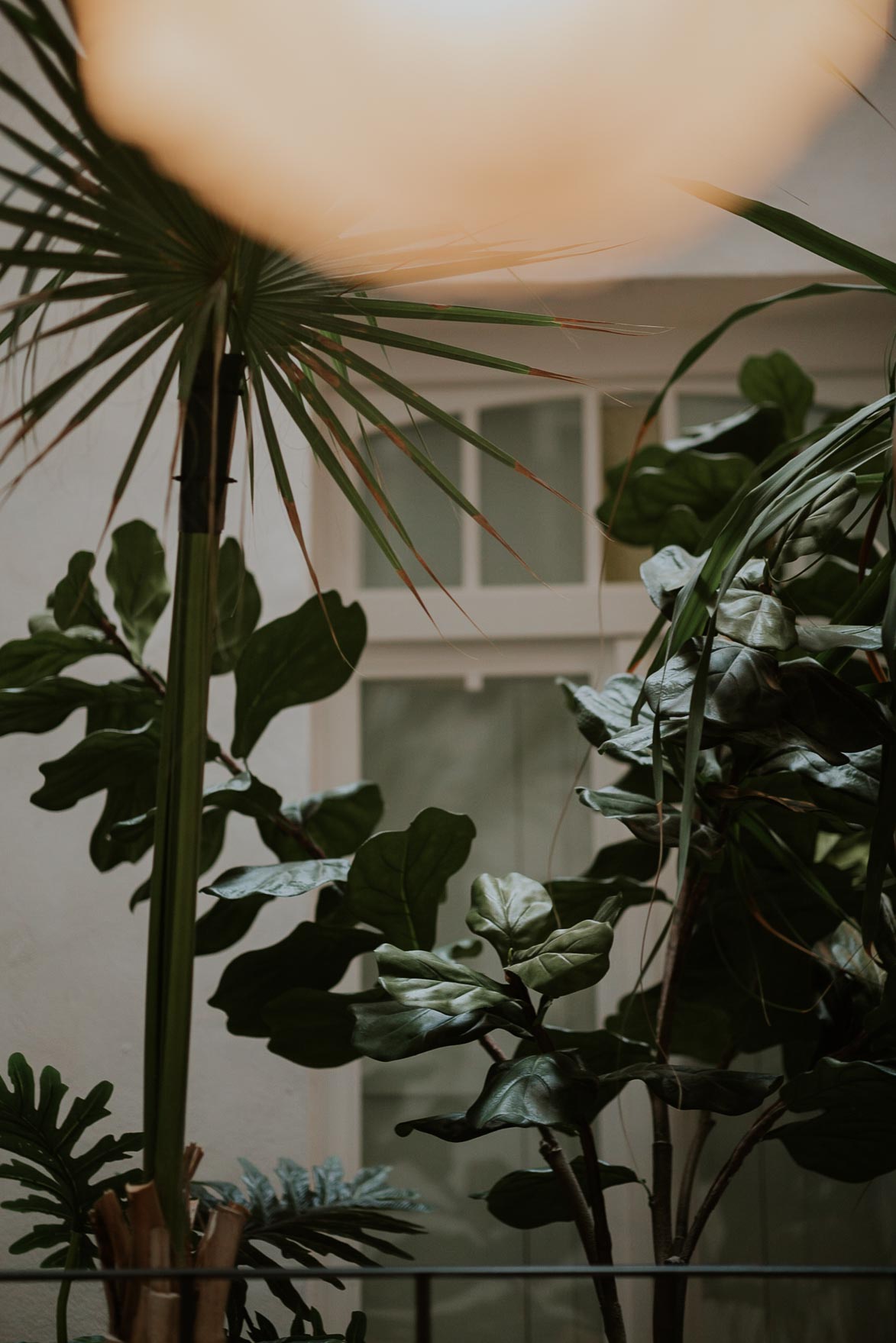 Fotos de Bodas en Casa Timoteo Alcoy