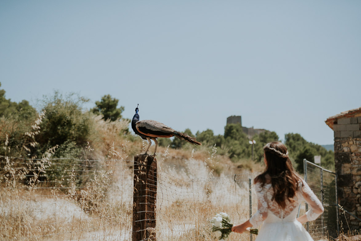 Fotografos Bodas Castell de Barxell Alcoy