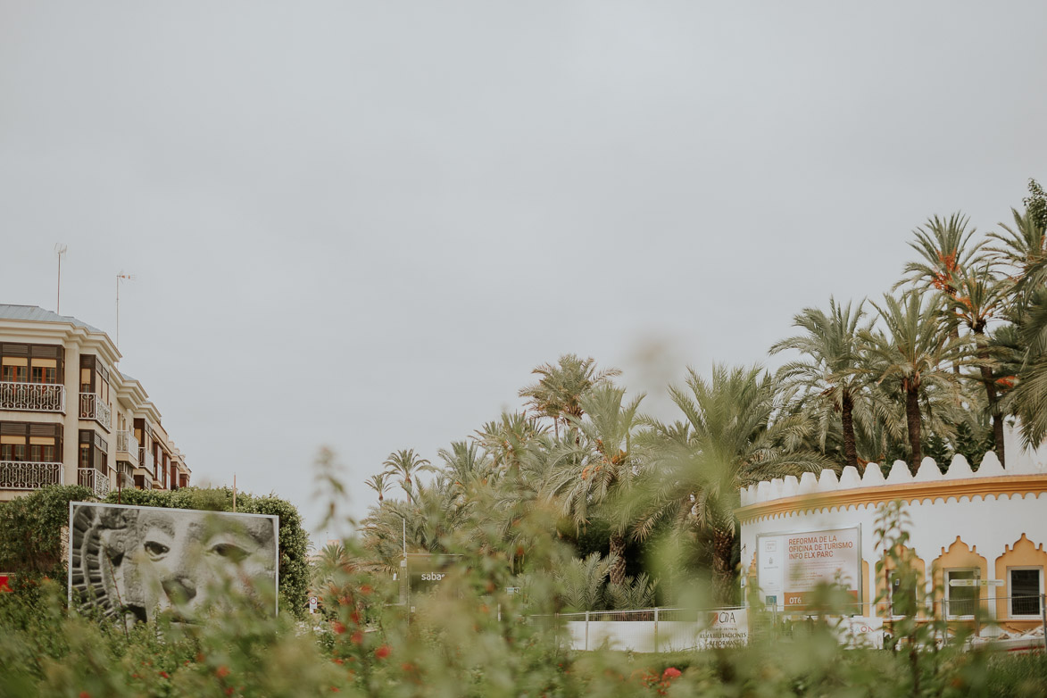 Fotos de Elche Patrimonio de la Humanidad