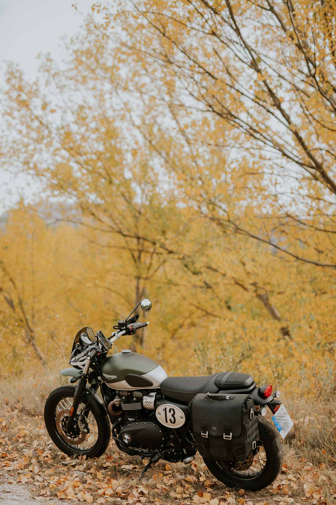 Triumph Street Scrambler Barkbusters