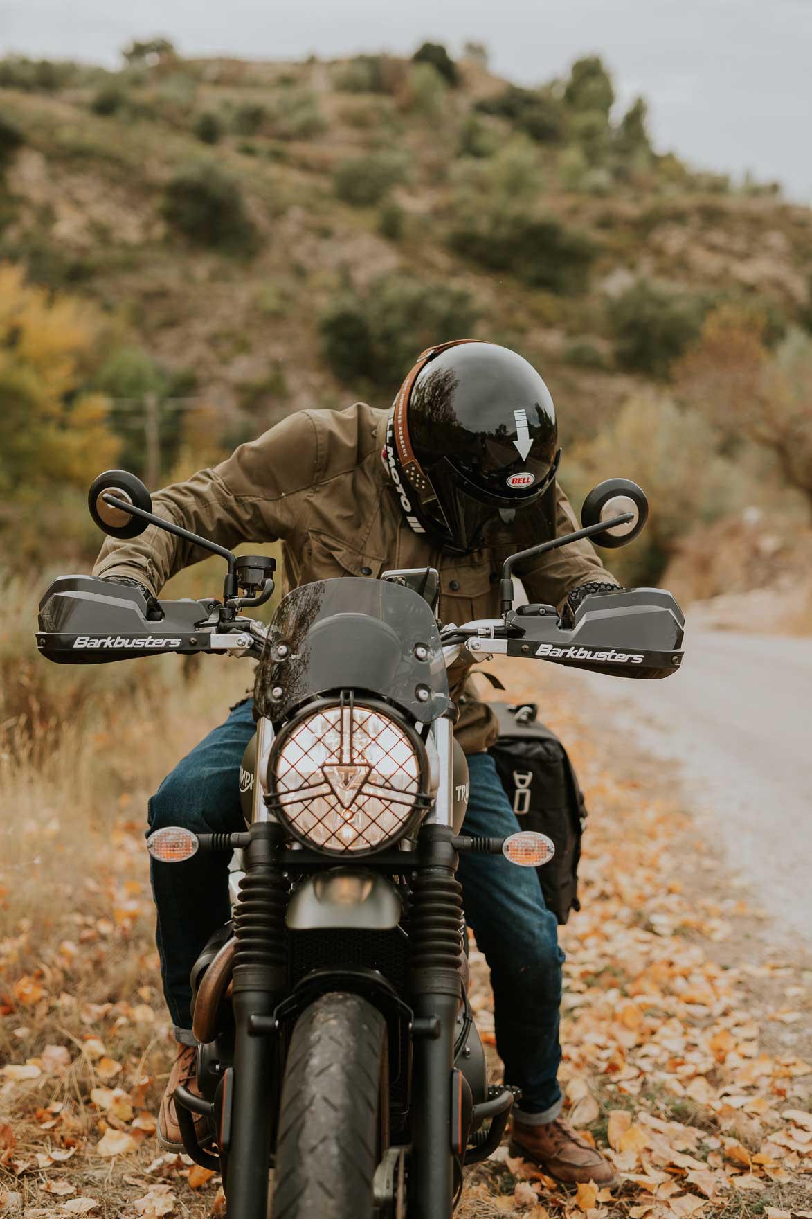 Triumph Street Scrambler Barkbusters Handguards