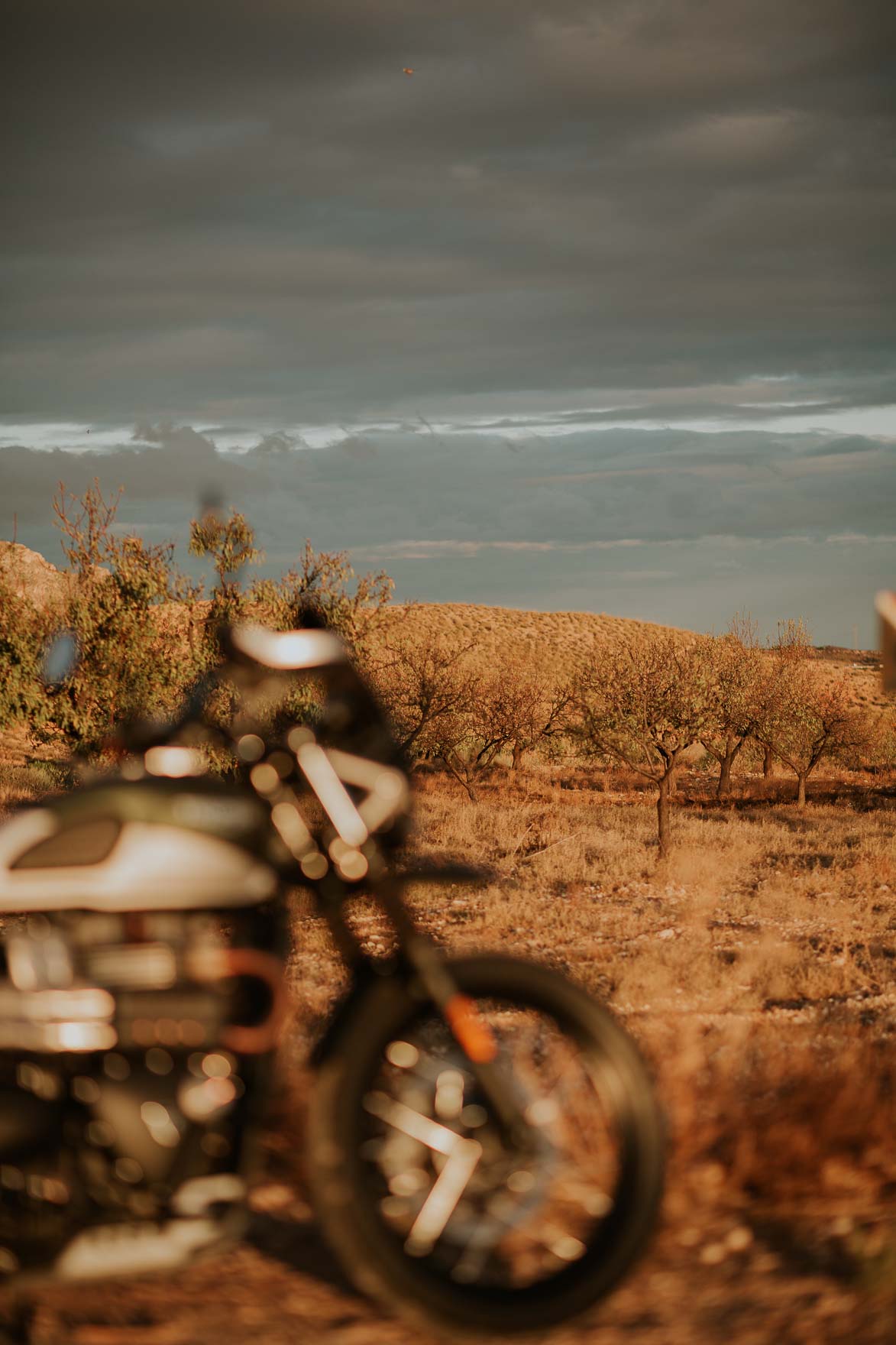 Atardecer en ruta motora