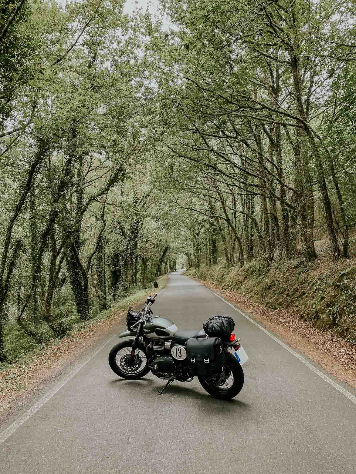 Viaje en Moto Triumph Scrambler Cañon del Sil